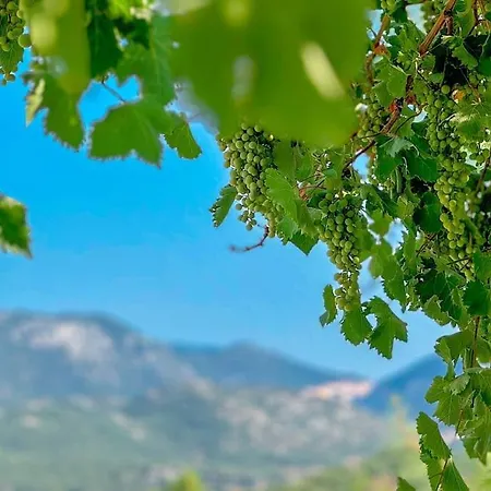 Belgin アパート カシュ